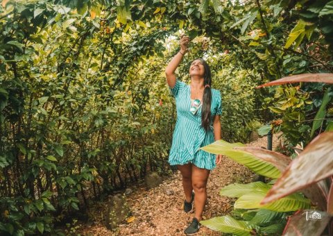 Spazieren Sie durch den grünen Garten