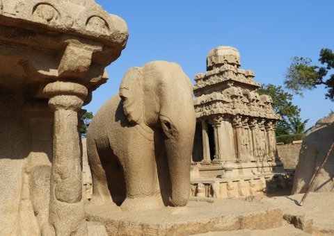 Von Steinmetzen gefertigter Elefant in Mahabalipuram