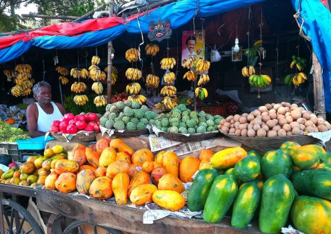 Auf dem Markt wird Obst aus der Region angeboten