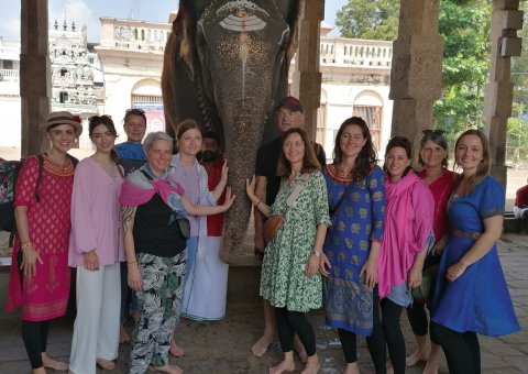 Sehen Sie Elefanten auf Ihrer Reise nach Tamil Nadu