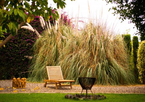 Die Liegewiese im Casita Ayurveda