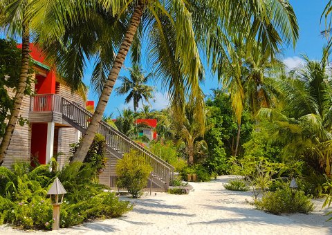 Erkunden Sie die traumhafte Anlage vom Barefoot Eco Hotel
