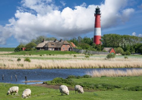 Leuchtturm auf Pellworm