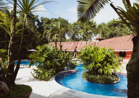 Springen Sie ins kühle Nass des Pools zwischen den Palmen