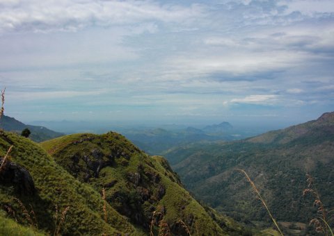 Die vielfältige Natur auf Sri Lanka