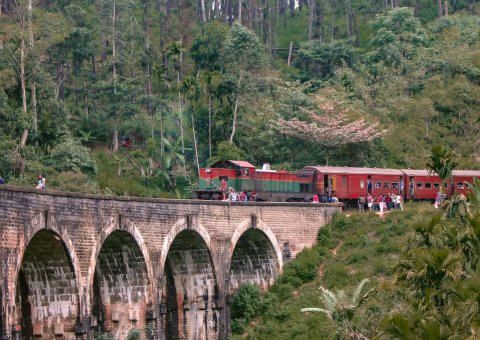 Reisen Sie durch Sri Lanka mit dem Zug