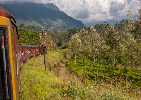 Sri Lanka aus dem Zug heraus erkunden