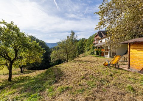 Der wilde Garten des Steinweiden Retreat Centers