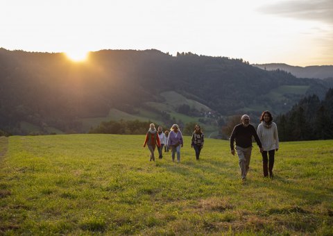 Erkunden Sie die Umgebung vom Steinweiden Retreat Center