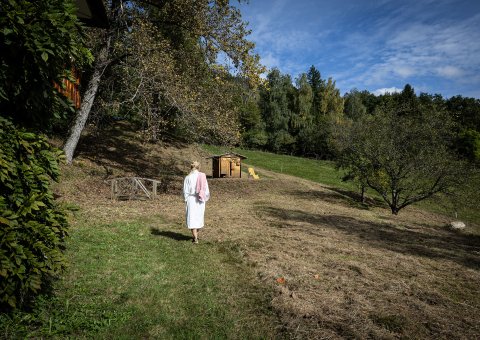 Der Weg durchs Grüne zur Außensauna