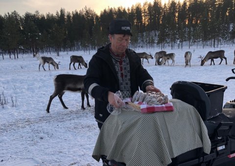 Brotzeit bei den Rentieren