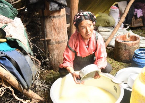 Tiefe Einblicke in die Kultur der lokalen Bevölkerung