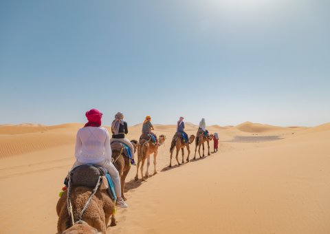 Auf Kamelen durch die Sahara