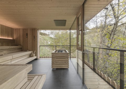 Genießen Sie den Ausblick in die Natur von der Sauna aus