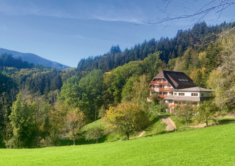 In wunderschöner Lage befindet sich das Steinweiden Retreat Center. 