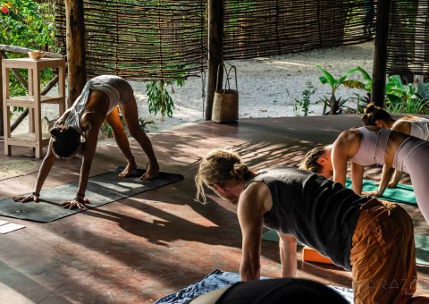 Wohltuende Yoga-Einheiten in der luftigen Shala