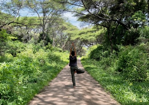 Auf der Safari darf auch Zeit für Yoga sein