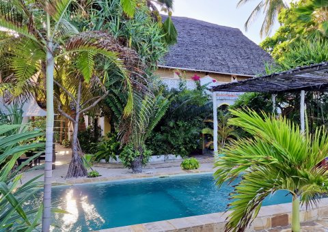 Die Villa Bahati umgeben von grünen Pflanzen