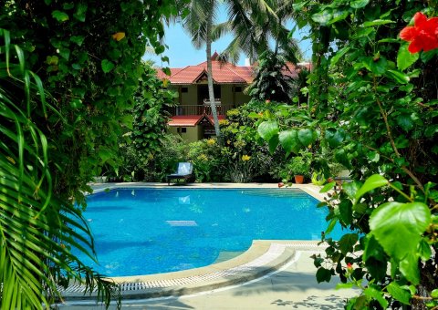 Mitten im tropischen Garten befindet sich der Pool des Resorts