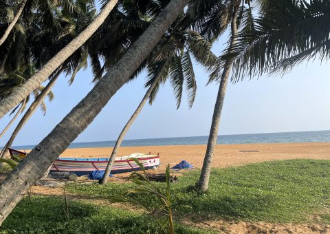 Das Resort besticht durch seine direkte Strandlage