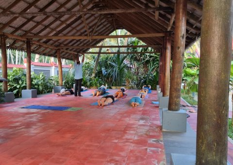 Regenerierende Yoga Einheiten am Morgen erleben
