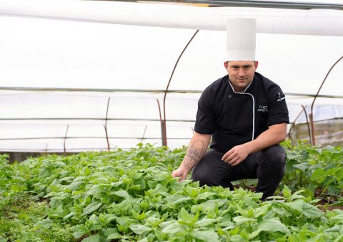 Im Buena Vista Chic wird das Gemüse selbst angebaut