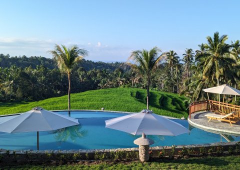 Der Pool - eingebettet in die grüne Landschaft Balis