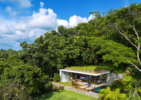 Die Contemporary Villa mitten im Wald