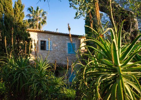 Die wunderschöne Finca im Frühling