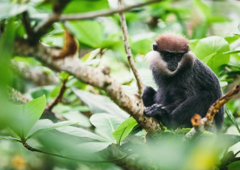 Bei Ausflügen die heimische Tierwelt kennenlernen