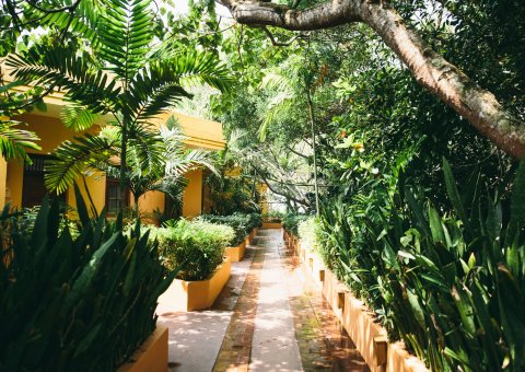 Entdecken Sie die ruhige Eleganz des Resorts
