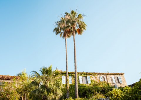 Die Finca - eine Oase zum Wohlfühlen!
