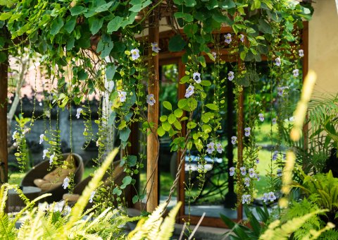 Yoga, Wellness und Natur - hier ist der ideale Ort für einen erholsamen Urlaub.
