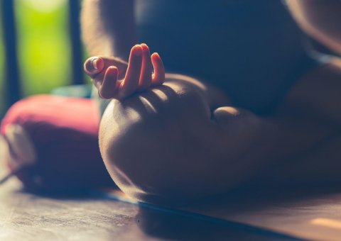 Meditieren Sie gemeinsam mit Nicole Hau
