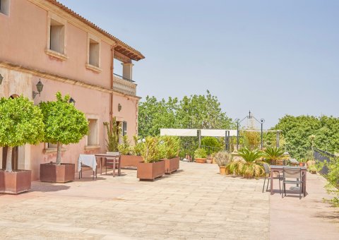 Die Terrasse umgeben von Grün