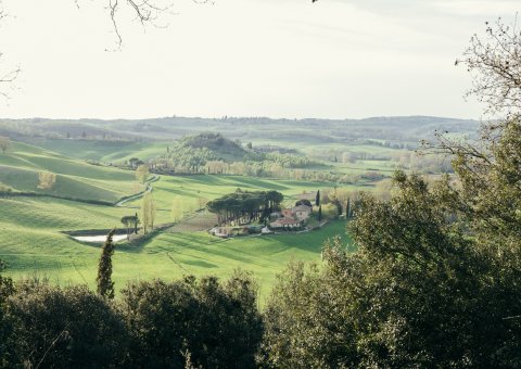 Genießen Sie den Blick über die traumhafte Natur