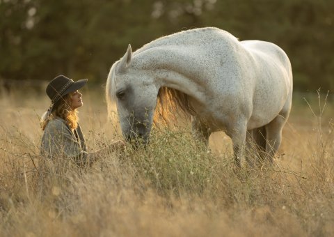Die Pferde in der Provence erleben