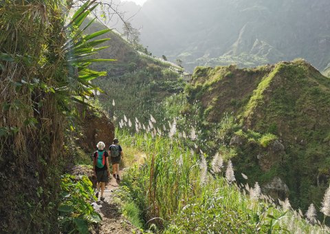 Wanderung in die Hochebene Lagoa