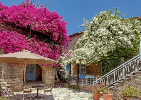 Unter blühenden Bäumen sitzen im Cyprus Villages