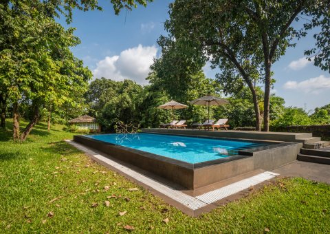 Der Pool - eingebettet in den großzügigen Garten