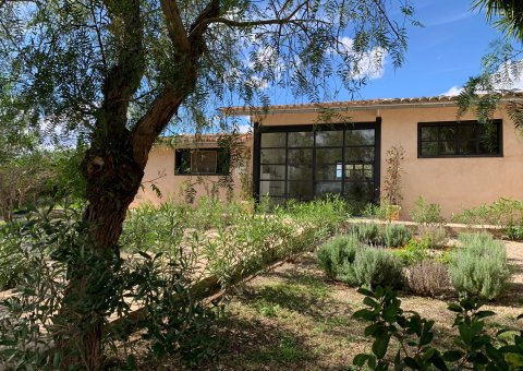 Der hauseigene Kräutergarten