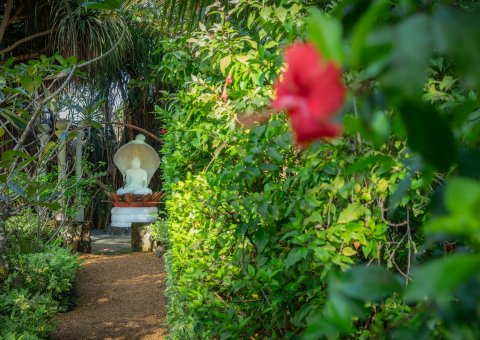 Durch den liebevoll angelegten Garten schlendern