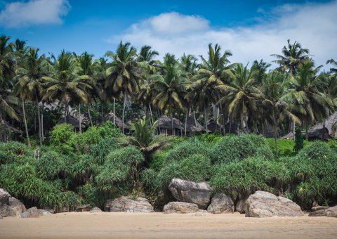 Das Somatheeram Health Resort liegt direkt am weißen Sandstrand