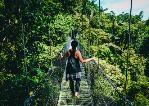 Mit Hängebrücken durch das Blätterdach des Regenwalds