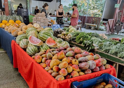 Frisches lokales Obst auf dem Markt probieren