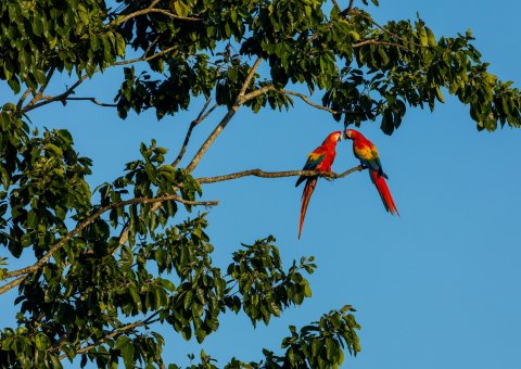 Die bunte Tierwelt bestaunen