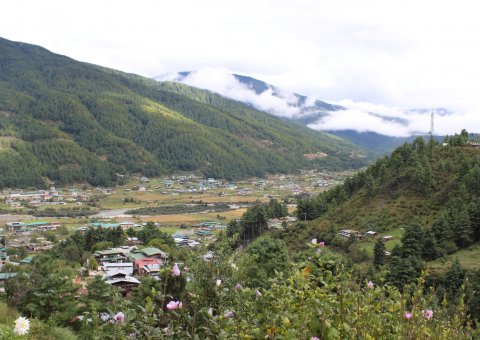 Jakar, eingebettet in die grüne Natur