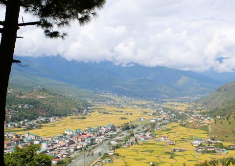 Blick auf das Paro Tal