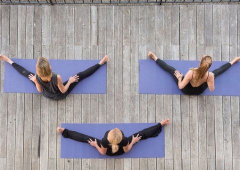 Gemeinsam Yoga üben auf der Yoga-Plattform