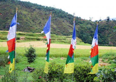 Unterwegs zum Kloster Chimi Lhakhang